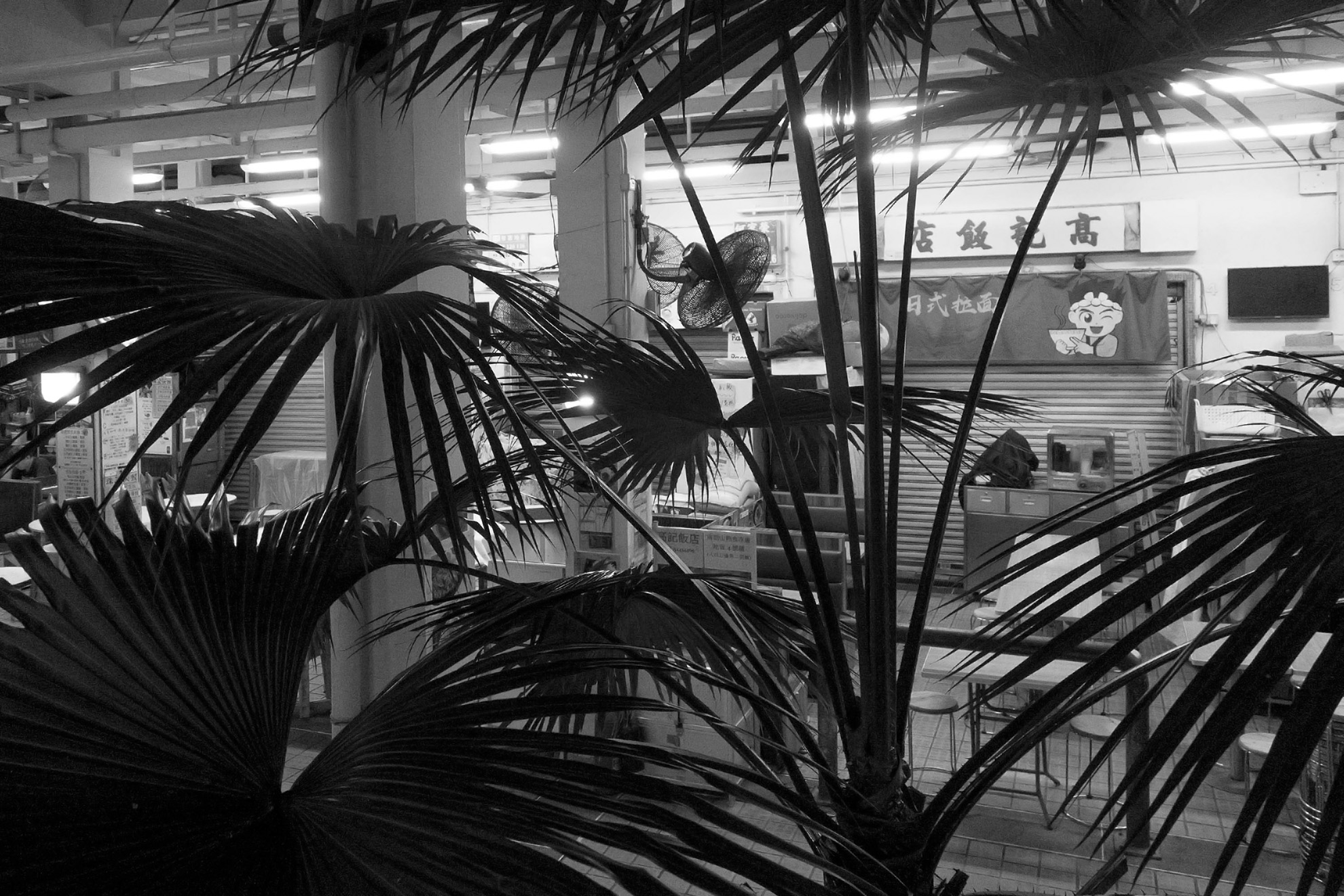 sony 201910 flame export 4396-7