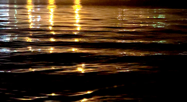 杜品儀，〈合作才能呼吸In order to breath, we need to cooperate. 〉，錄像、聲音裝置，2023