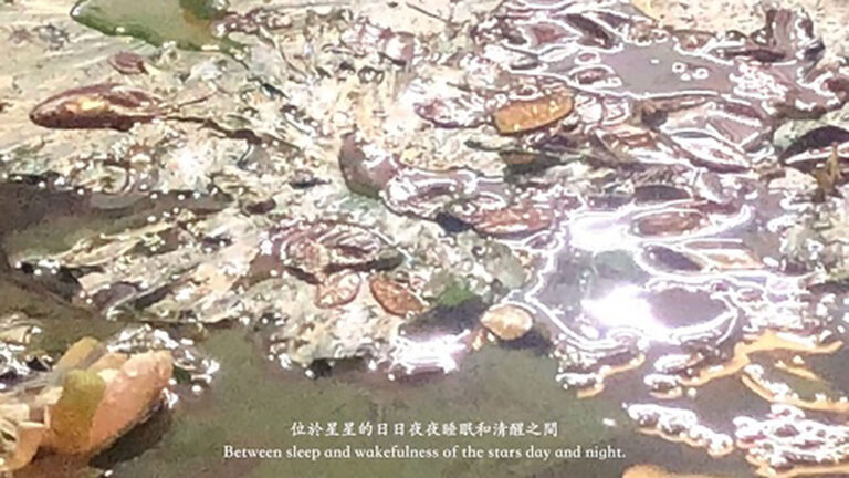 S-H-E 她_Full-HD Single channel color video with sound單頻道彩色有聲錄像_錄像媒材_2'45''_2022